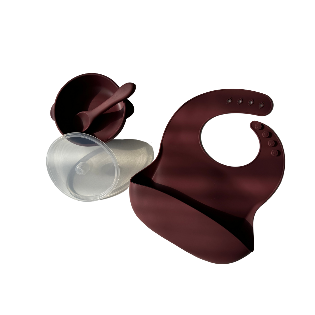 Set of Silicone Bowl with Lid Spoon & Bib